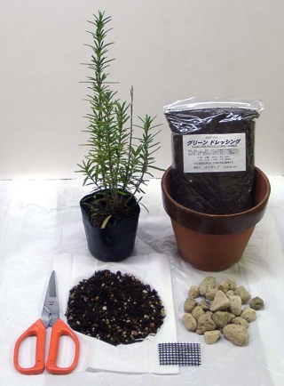 ハーブの苗の植え方 初心者のための初めてのガーデニングハーブ ハーブ園芸 入門 Diy