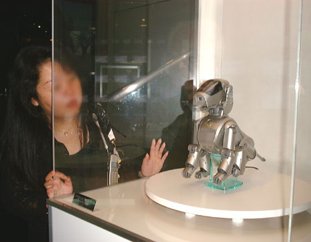 aibo