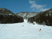 ̒jQf