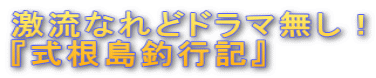 激流なれどドラマ無し! 『式根島釣行記』