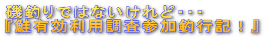 磯釣りではないけれど・・・ 『鮭有効利用調査参加釣行記!』