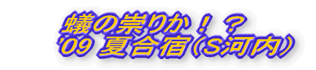 a̐肩@'09 čh