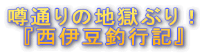 『城ヶ崎釣行記』