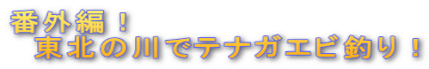 番外編! 東北の川でテナガエビ釣り!