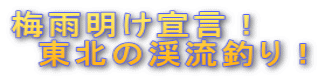 梅雨明け宣言! 東北の渓流釣り!