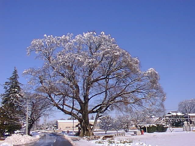 PLQ.jpg (55236 oCg)