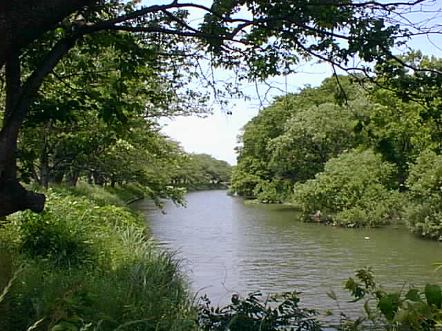 ʗp.jpg (53481 oCg)