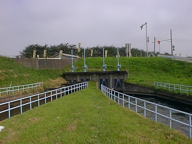 PIC00006.jpg (47346 oCg)