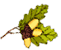 ǂ񂮂