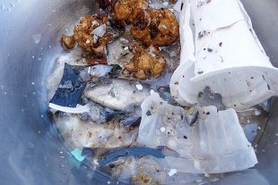 microplastic.jpg(20047 byte)