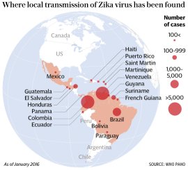 zika.jpg(16530 byte)