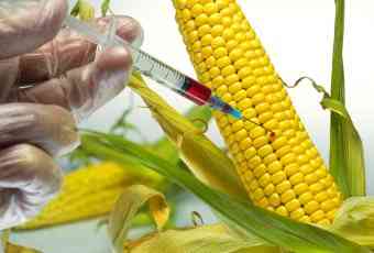 Monsanto.jpg(22807 byte)