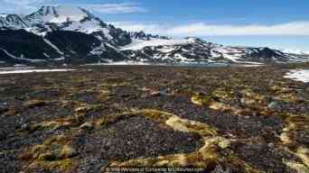 Permafrost_in_Svalbard.jpg(25493 byte)