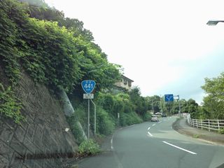 国道441号写真