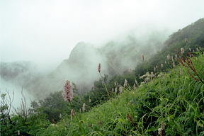 雲の岩峰とトラノオ