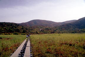 名残ヶ原と栗駒山