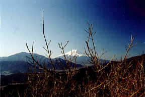 富士山