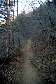 女坂登山道