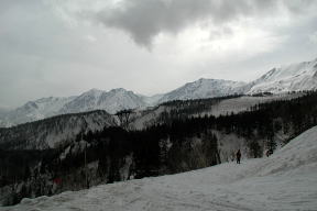 林道より白馬三山