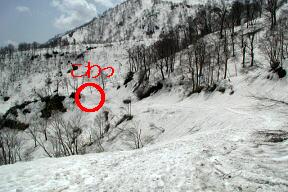 林道