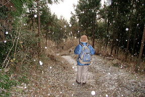 降雪