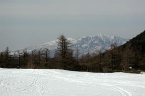 兎平から四阿山