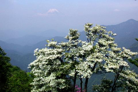 富士山を眺めながら竜ケ馬場に向かう