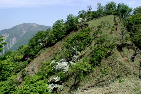 竜ケ馬場に向かって坂を登る