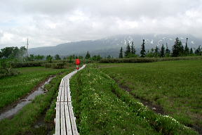 第一公園