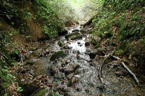 沢と化した登山道