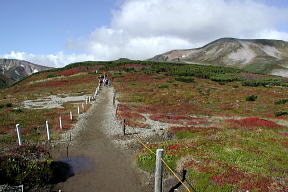 雲の平の登山道