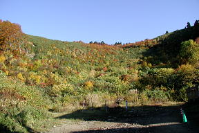 登山口