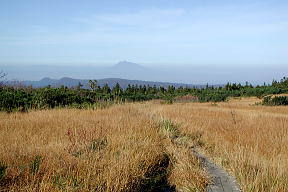 下毛無岱から岩木山