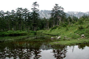 龍晶池と薬師岳の山並み