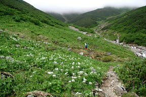 岩苔小谷の開けた源流部