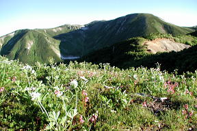 花畑と双六岳