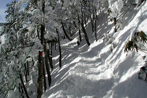 山腹の登山道のようす