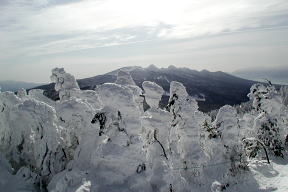 樹氷と南八ヶ岳