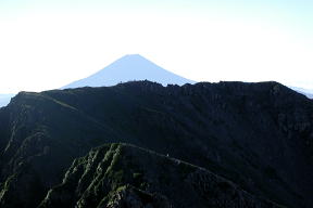 東農鳥越しの富士山
