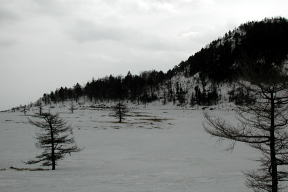 草の見える池の平湿原