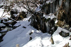 氷柱の続く道