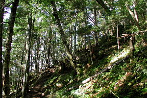 登山道