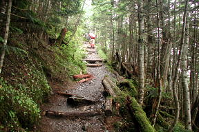 登山道