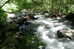 登山道