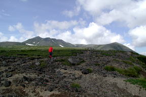 高根が原