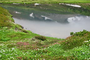 夫婦池
