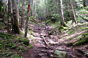 登山道