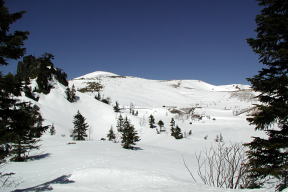 白根山