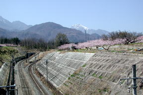 中央線と甲斐駒