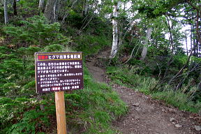 登山道